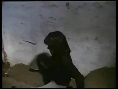 ブロンド、森の中の光 女性 ため の エロ 動画